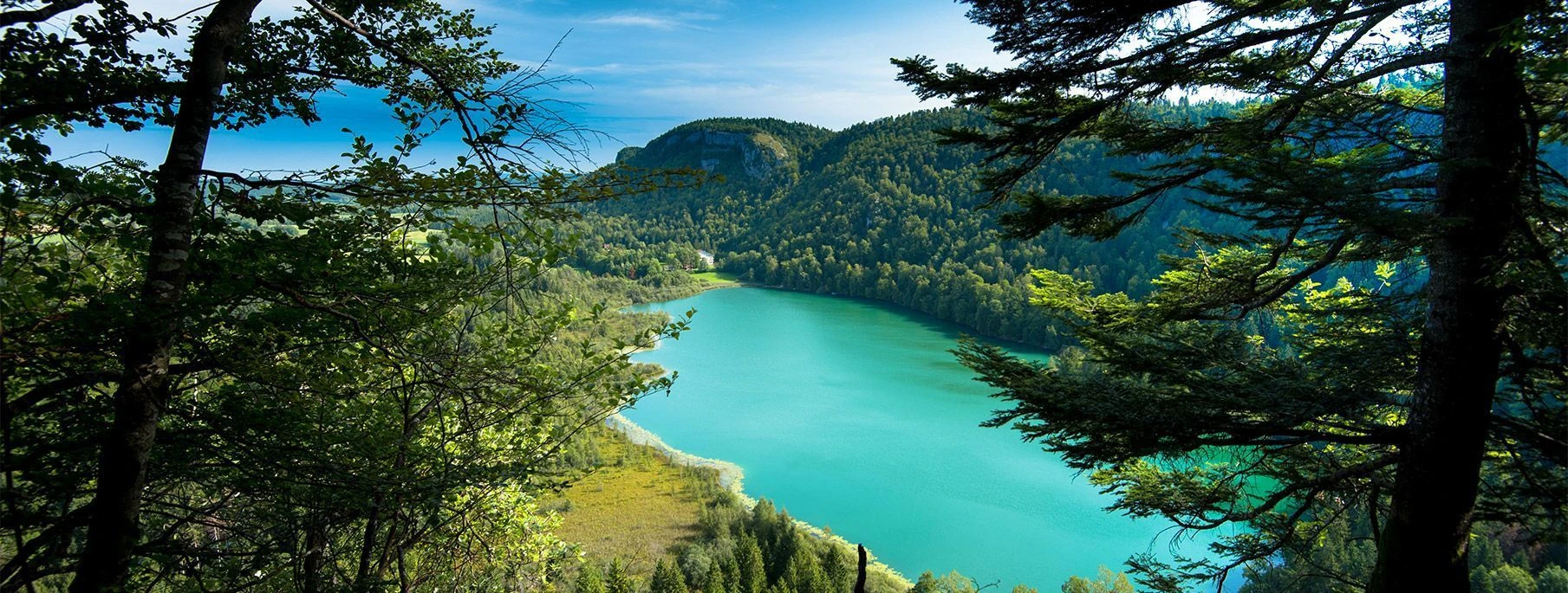 Camping Jura | Location de mobil-homes, chalets, emplacements