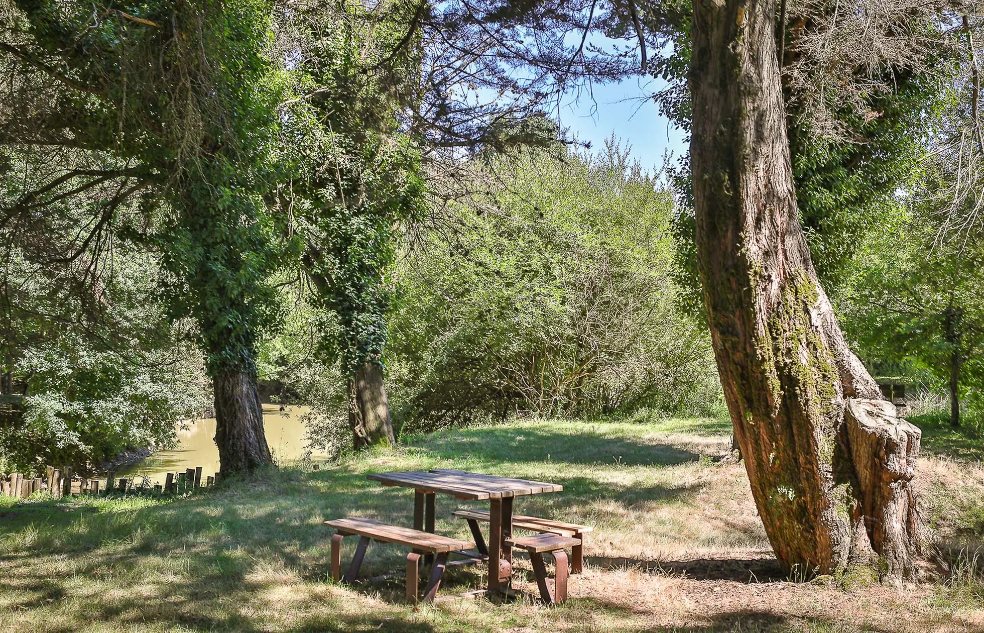 22 - Camping Le Pavillon - Service