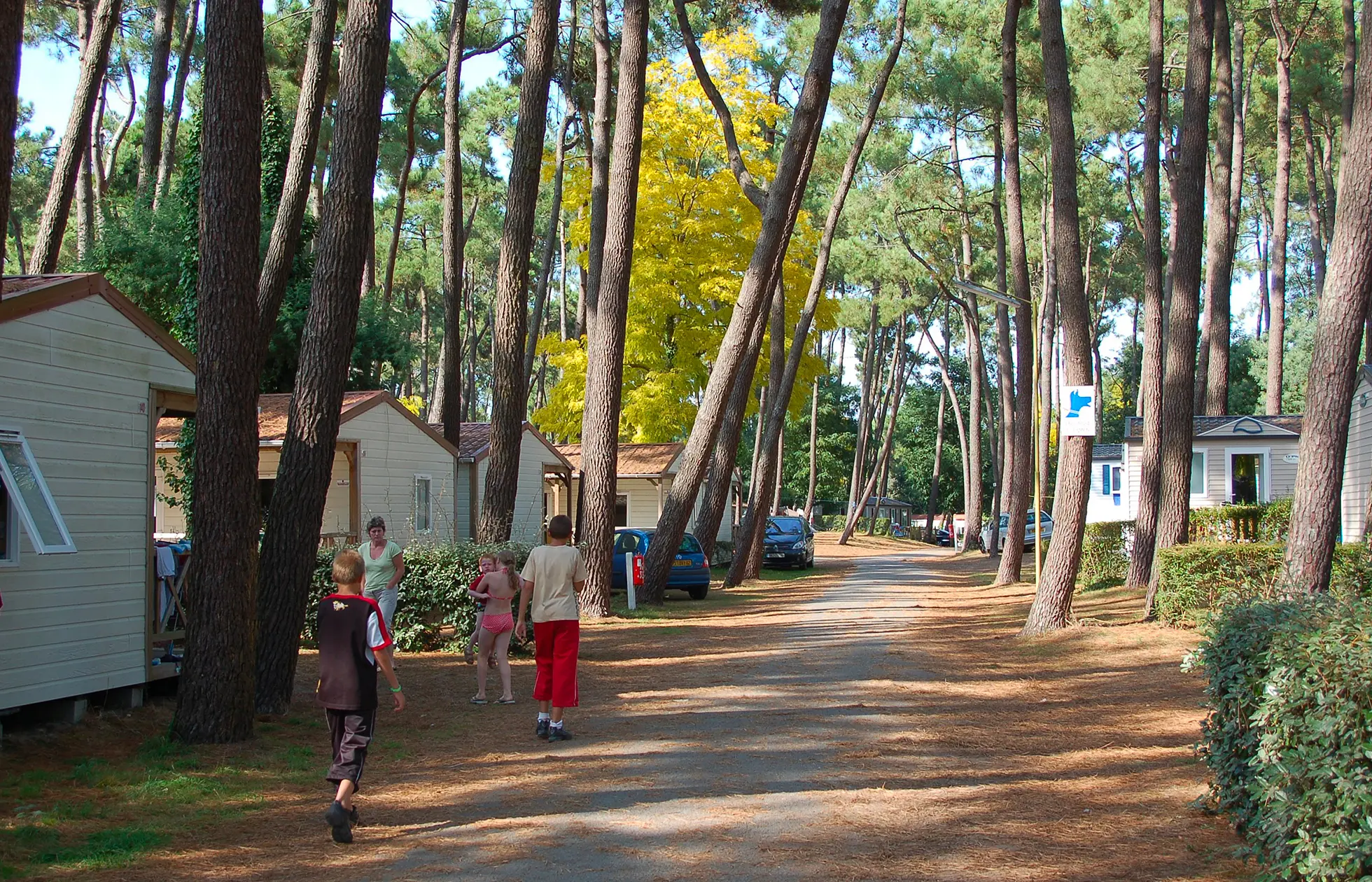 26 - Camping Les Biches - Hébergement