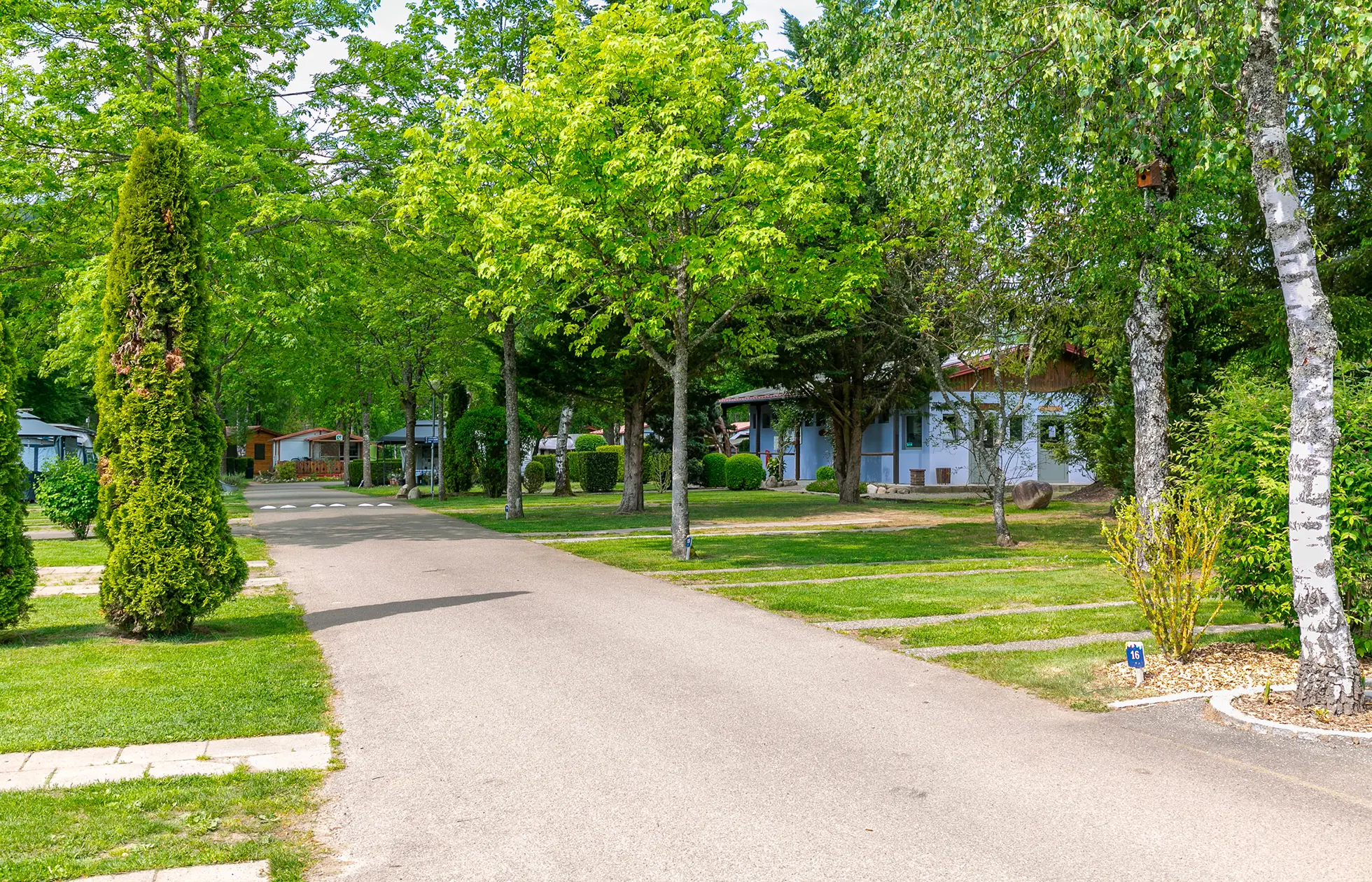 Camping Les Bouleaux - Hébergement 1