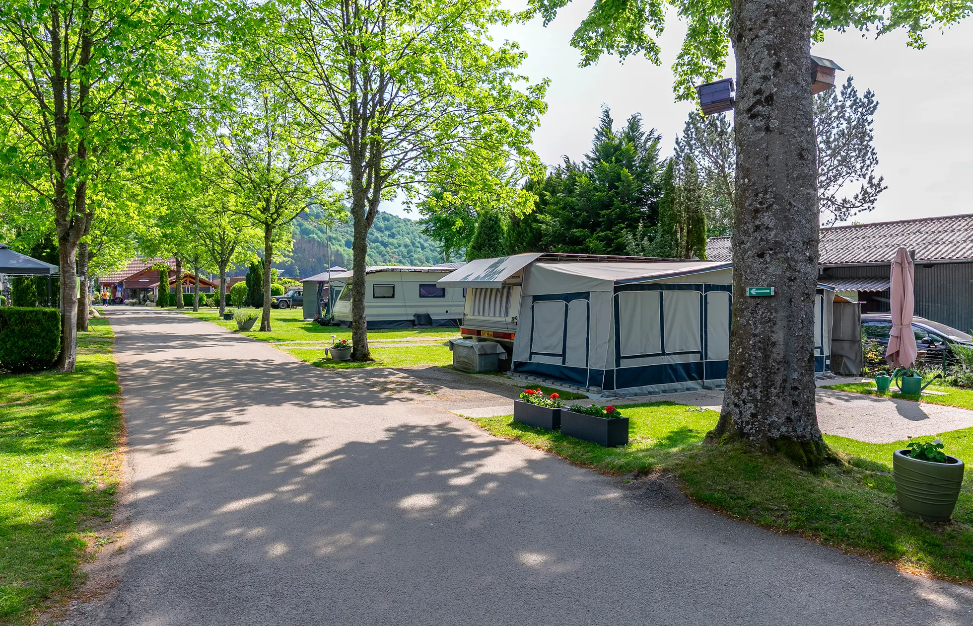 Camping Les Bouleaux - Hébergement 5