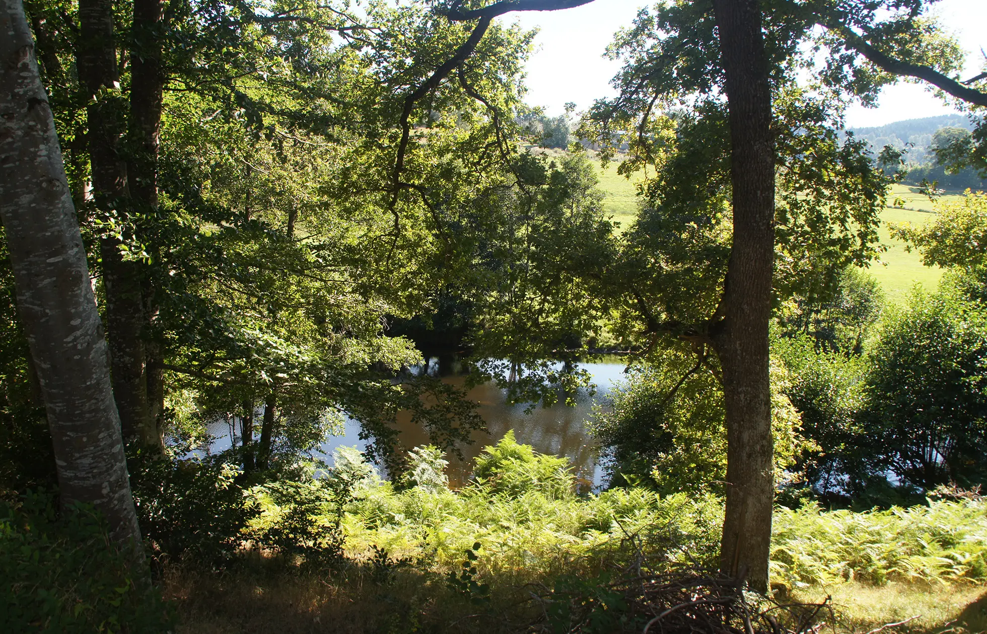 Camping Les Murmures du Lignon - Alentour 1