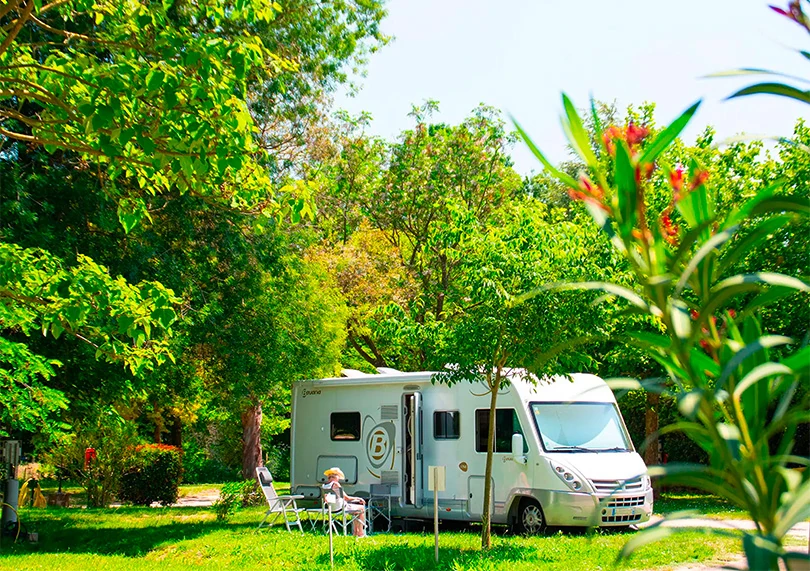 staanplaats flower campings